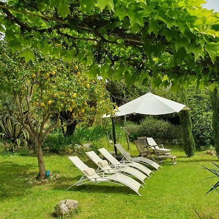 La Villa Guidi Pila-Canale Exteriör bild