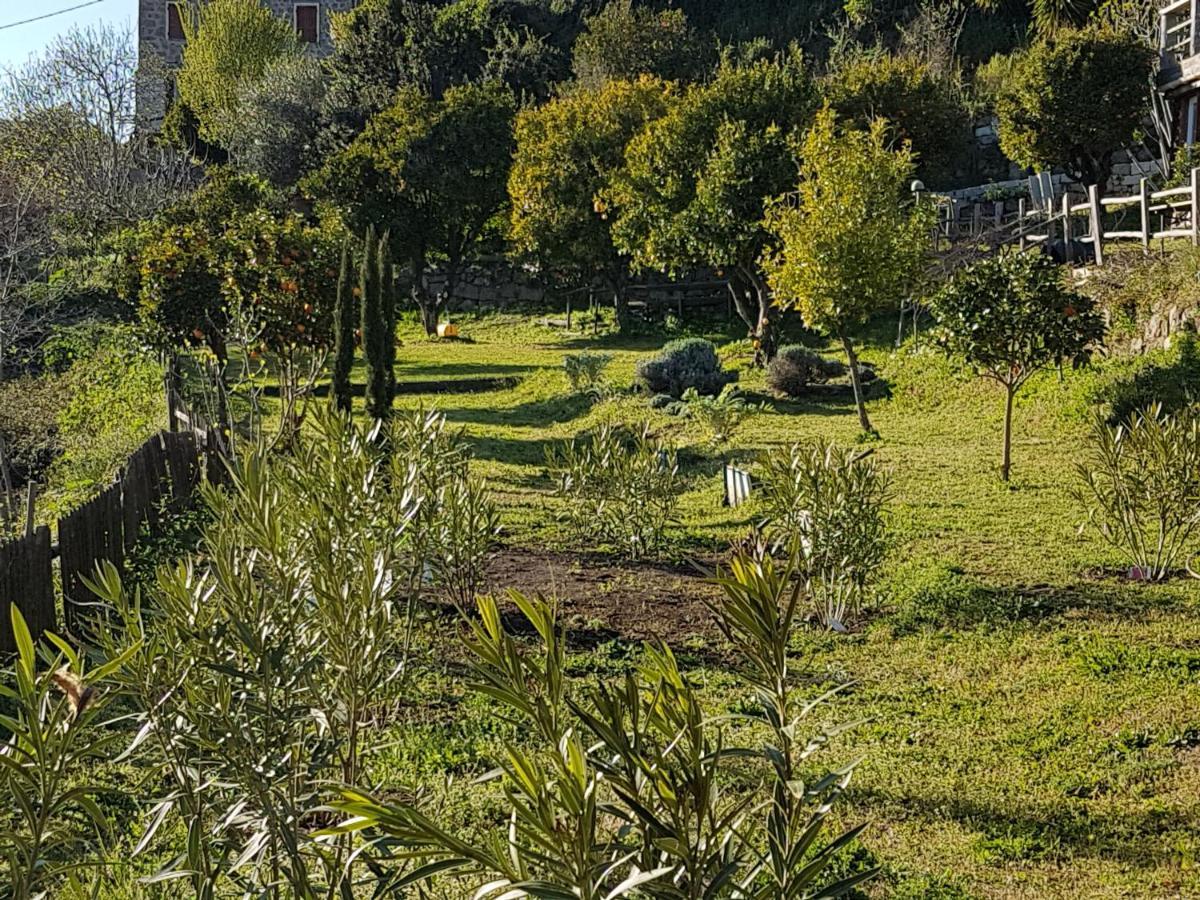 La Villa Guidi Pila-Canale Exteriör bild